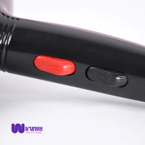 Professional Hair Dryer (High Power)