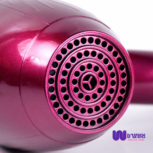 Professional Hair Dryer (High Power)