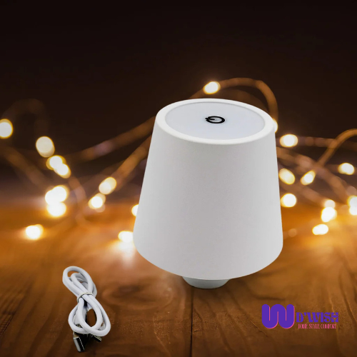 LED Bottle Lamp (3 Color Dimmable Wireless Table Light for Home)