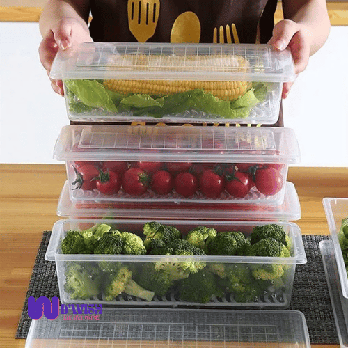 Food Storage Container (with Removable Drain Plate, Lid & 1500 ml Capacity each)